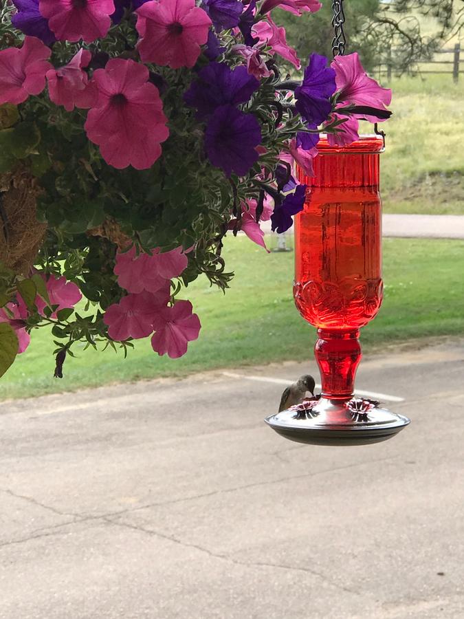 Cripple Creek Hospitality House & Travel Park - thumb 34