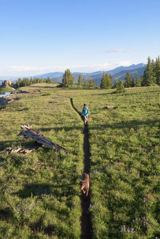 Pinehurst Townhome Luxury Rental In Beaver Creek - thumb 6