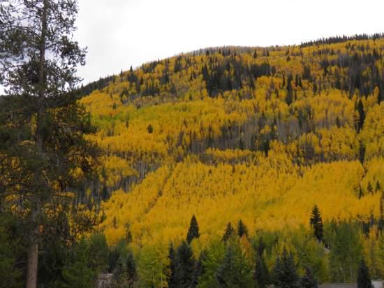 Pinehurst Townhome Luxury Rental In Beaver Creek - thumb 7