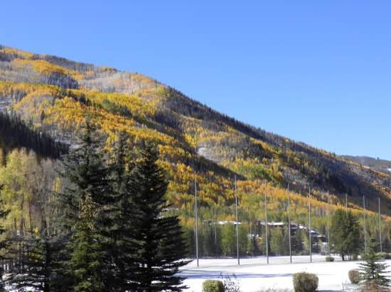 Pinehurst Townhome Luxury Rental In Beaver Creek - thumb 16