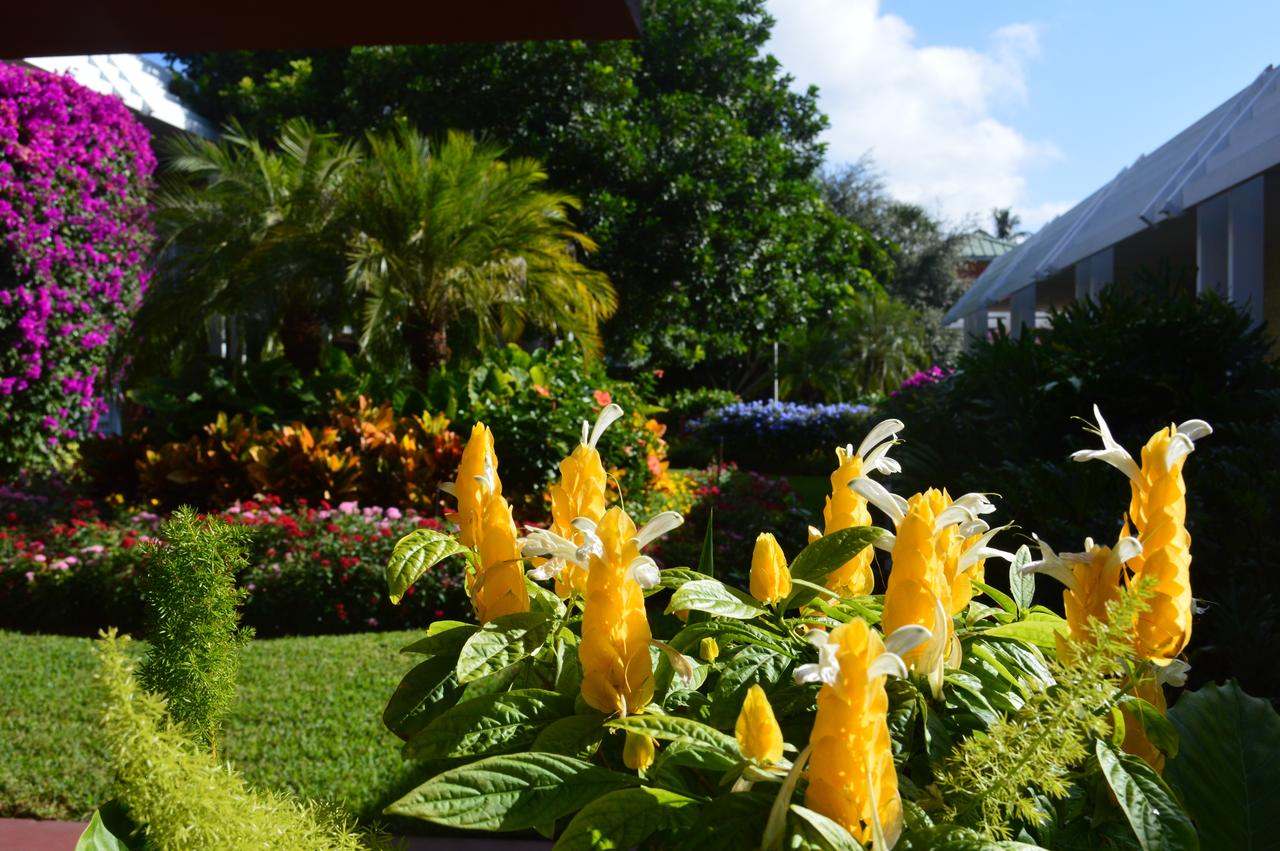 Ramada By Wyndham Naples - thumb 17