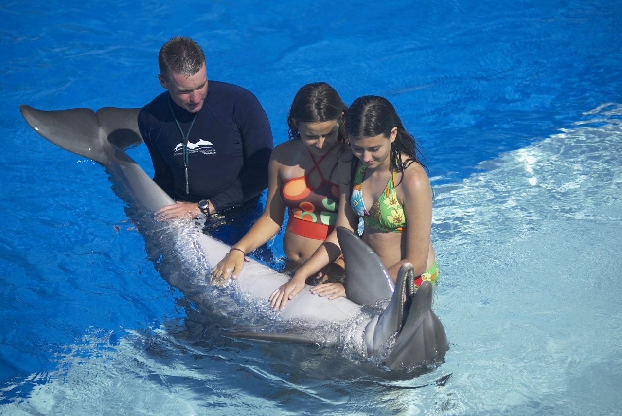 Hilton Garden Inn Palm Coast Town Center - thumb 36