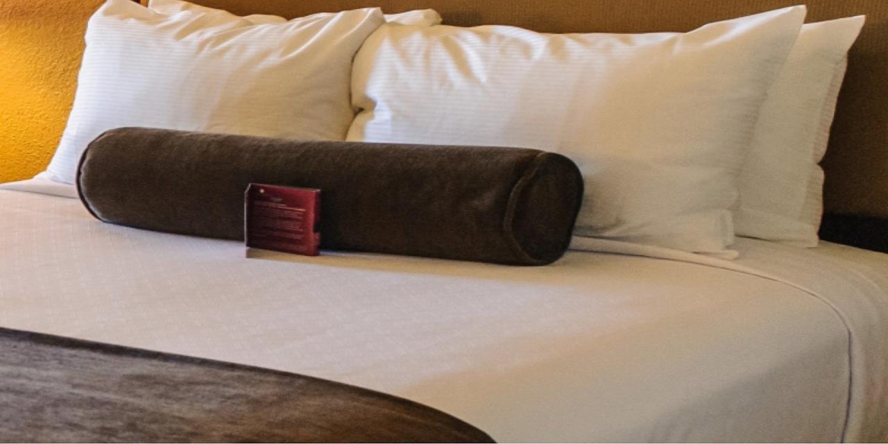 Crowne Plaza Jacksonville Airport - thumb 27