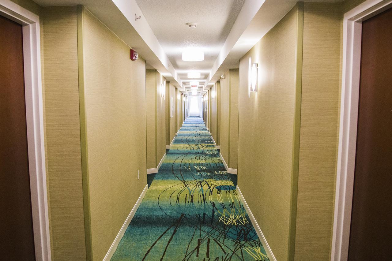 SpringHill Suites Jacksonville - thumb 14