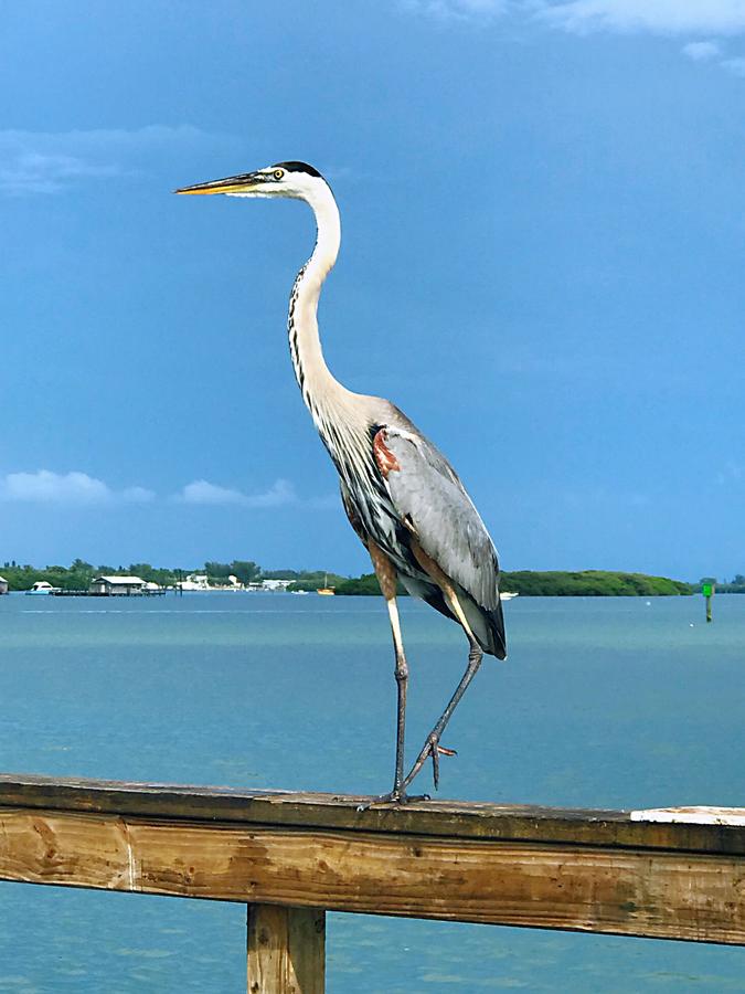 Shorewalk Full Condo Lake View 10 Mins To Beach IMG - thumb 40