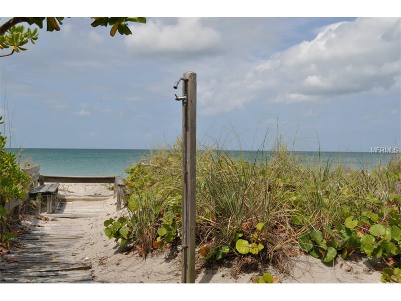 On The Beach! - thumb 14