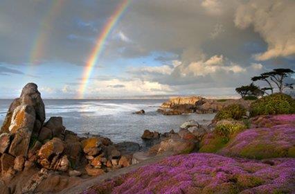 Lovers Point Inn - thumb 4