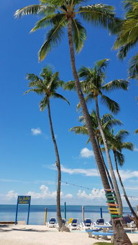 Duke Field Afs Fl Tourism House