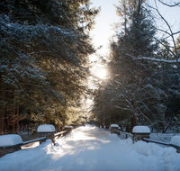 Glendorn - Tourism House