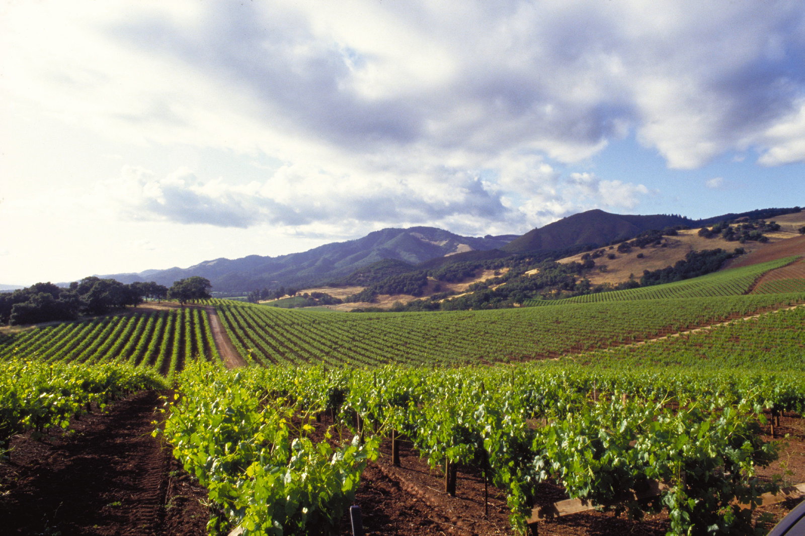 Harmon Guest House - thumb 16