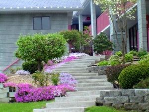 Ramada By Wyndham Branson - thumb 0