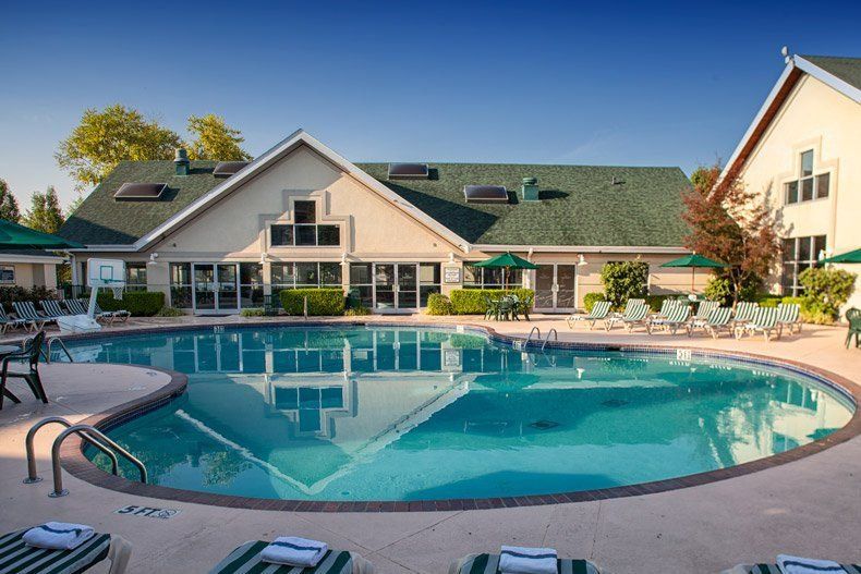 Palace View Resort - thumb 9