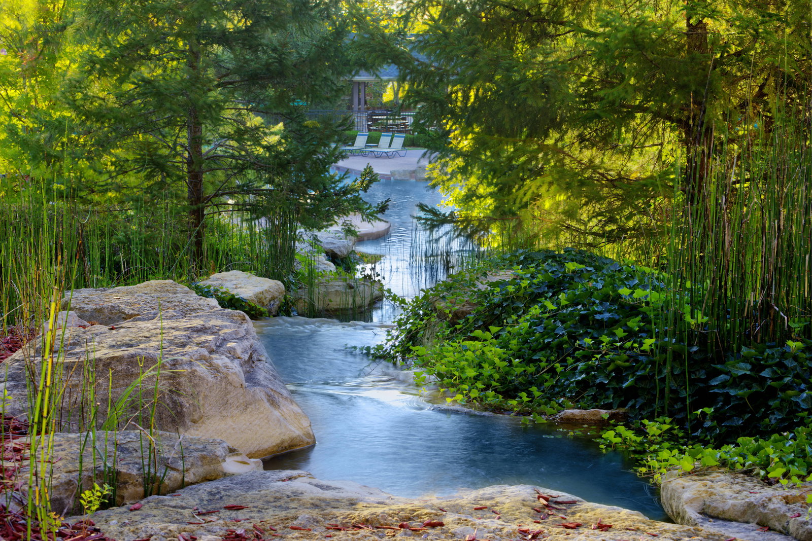 Marriott's Willow Ridge Lodge - thumb 1