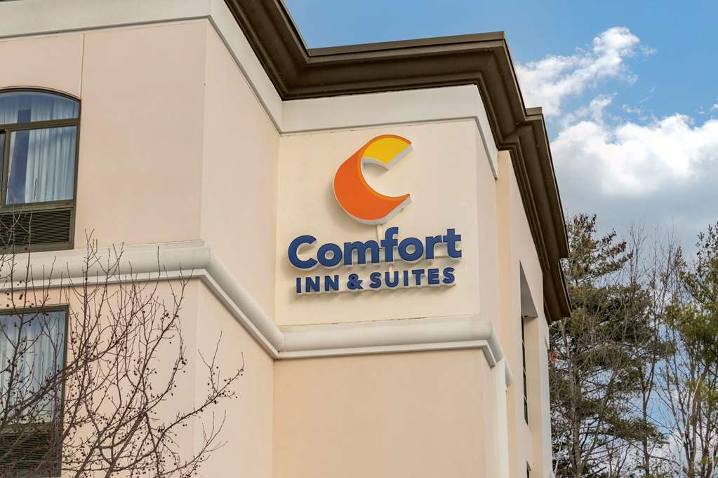 Comfort Inn & Suites Lake George - thumb 1