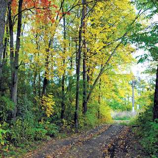 YO1 Wellness Resort & Spa Catskills - thumb 16