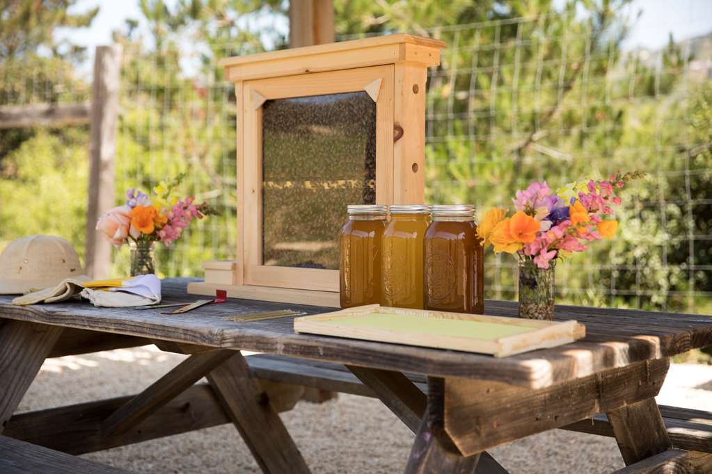 Carmel Valley Ranch - thumb 12