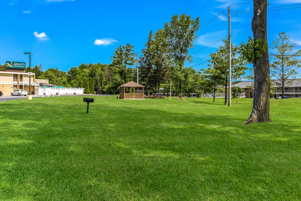 Quality Inn & Suites - thumb 0