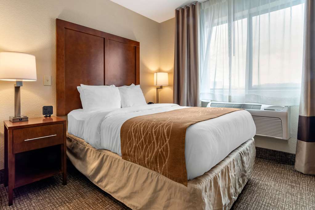 Comfort Inn - thumb 4