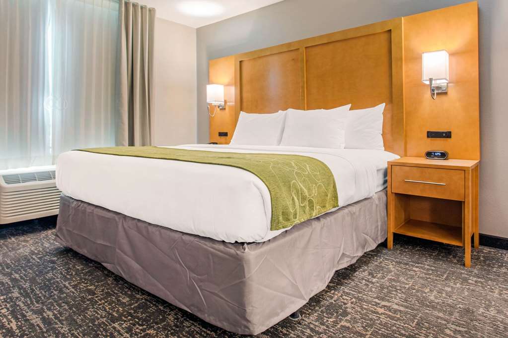 Comfort Suites North Charleston - thumb 7