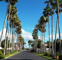 Donna Tx Tourism House