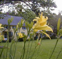 Fiddler's Green Inn - Tourism House