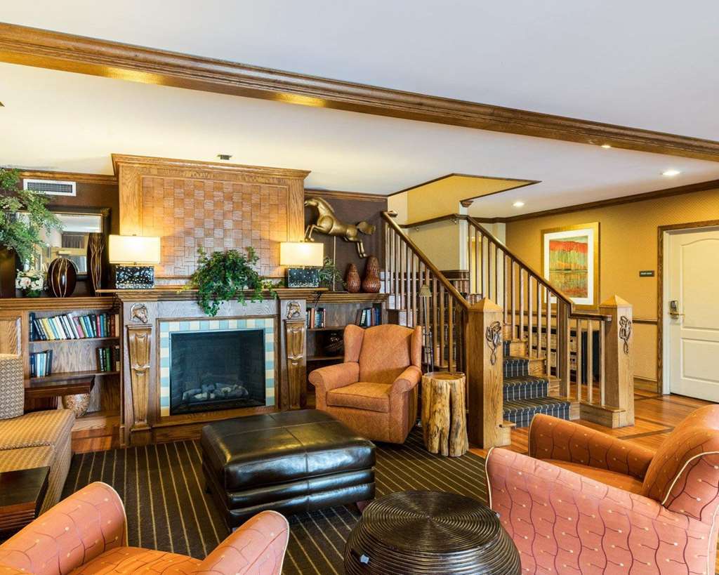 Comfort Inn & Suites - thumb 2