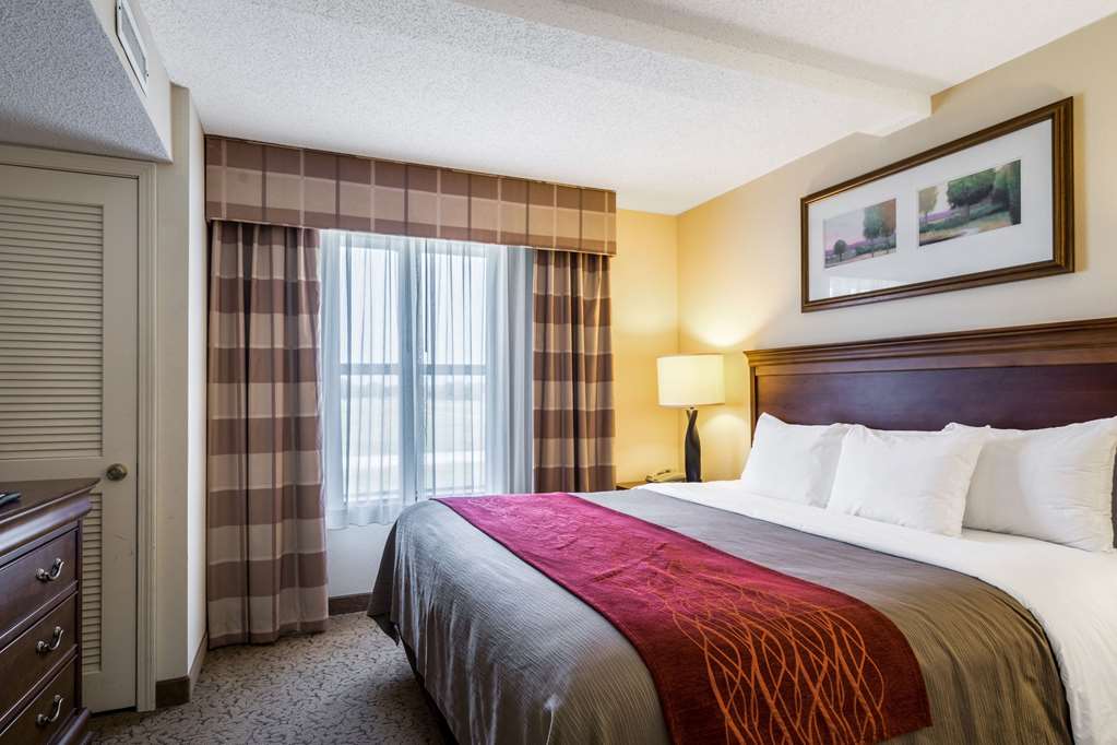 Comfort Inn & Suites - thumb 13
