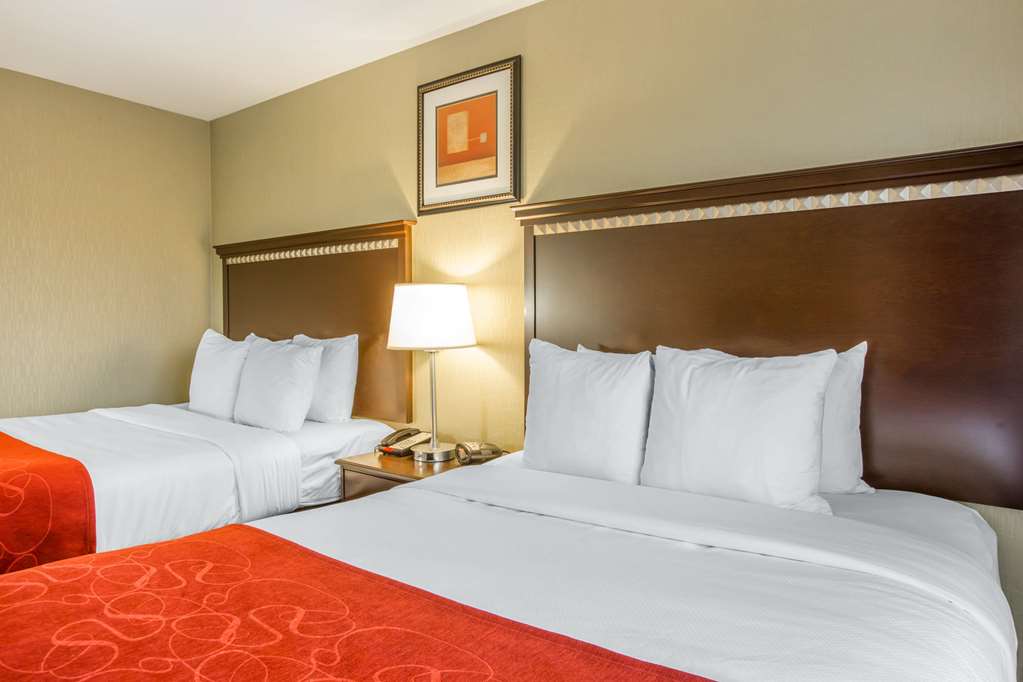 Comfort Suites - thumb 13