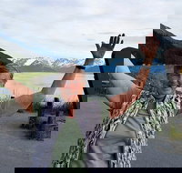 Wilderness Wildlife Glacier Experience from Anchorage - Tourism House