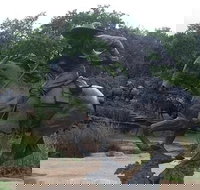 Create Your Own Dallas and Fort Worth Combination Tour - Tourism House