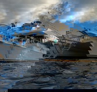 Molokini Crater and Turtle Town Snorkeling Tour from Ma'alaea Harbor - Tourism House