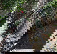 Self-Guided The French Quarter Charleston Solo Walking Tour - Tourism House