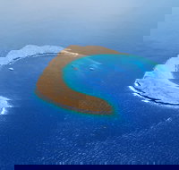 Maui Snorkeling To Molokini Tour - All-Inclusive 5-Hour - Morning Session - Tourism House