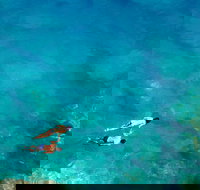 Maui Snorkeling Lani Kai - All-Inclusive 3-Hour Snorkel  Whale Watch - Tourism House