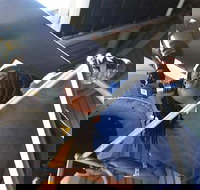 Chicago CityPASS - Tourism House