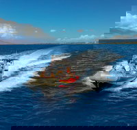 Molokini Crater plus Turtle Town Snorkeling 4-hour Tour - Tourism House