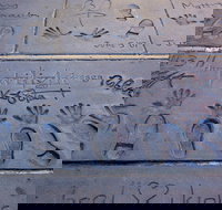 Hollywood Celebrity Homes Tour - Tourism House