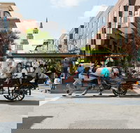 Daytime Horse-Drawn Carriage Sightseeing Tour of Historic Charleston - Tourism House