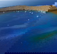 Brand New Super Raft - Private Maui 3 Hour Snorkel to Coral Gardens or Molokini - Tourism House