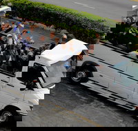 Hollywood Sightseeing and Celebrity Homes Tour by Open-Top Bus - Tourism House