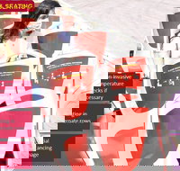 Big Bus Chicago Hop-On Hop-Off Tour - Tourism House