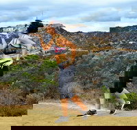 Griffith Observatory Hike Hollywood Hills Walk in Griffith Park - Tourism House