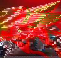 JFK Food and Culture Tour in Dallas - Tourism House