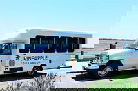 Charleston Sc Tourism House