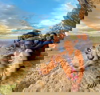 Helicopter Tour of the North Canyon with Optional Hummer Excursion - Tourism House