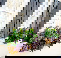 Private Historic Carriage Tour of Charleston - Tourism House