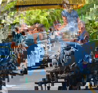 Historic Carriage Tour of Charleston - Tourism House