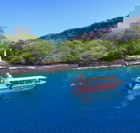 Captain Cook /Kealakekua Bay - Tourism House