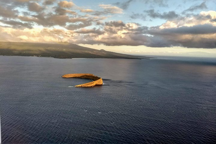Maui Whale Watching -Private- Air Tour: Spectacular Humpbacks Seen From Above! - thumb 0