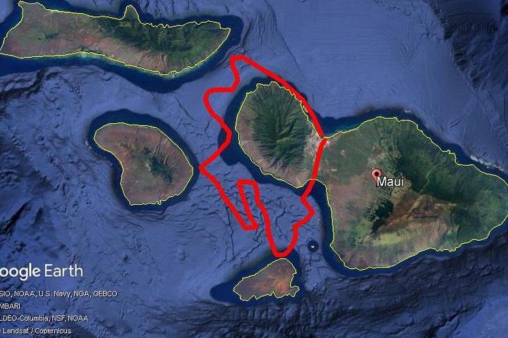 Maui Whale Watching -Private- Air Tour: Spectacular Humpbacks Seen From Above! - thumb 2